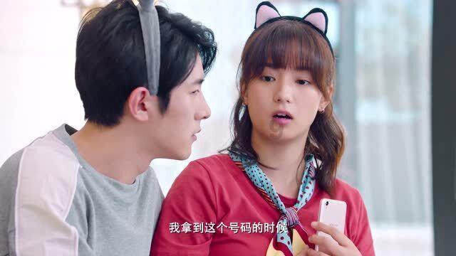 “中国最美小鸟”在厦门找到温暖的家！